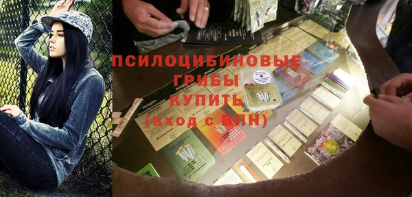 гашик Балахна