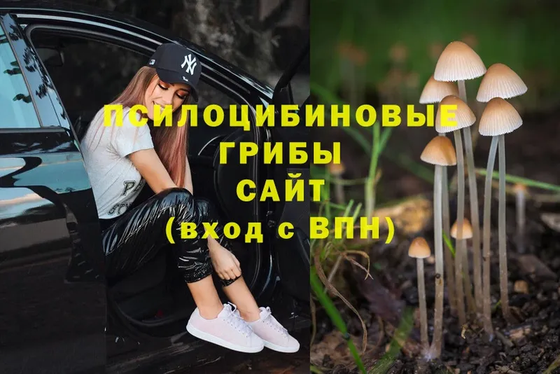 Галлюциногенные грибы Magic Shrooms Горнозаводск