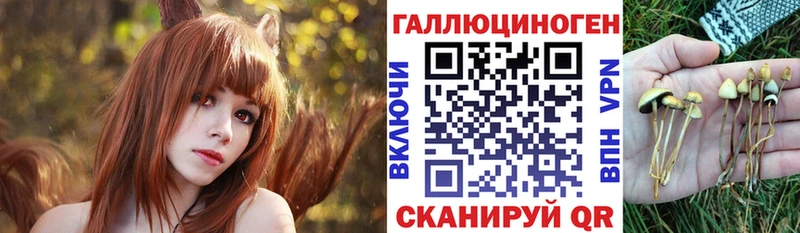 ОМГ ОМГ сайт  Горнозаводск  Галлюциногенные грибы Psilocybine cubensis 
